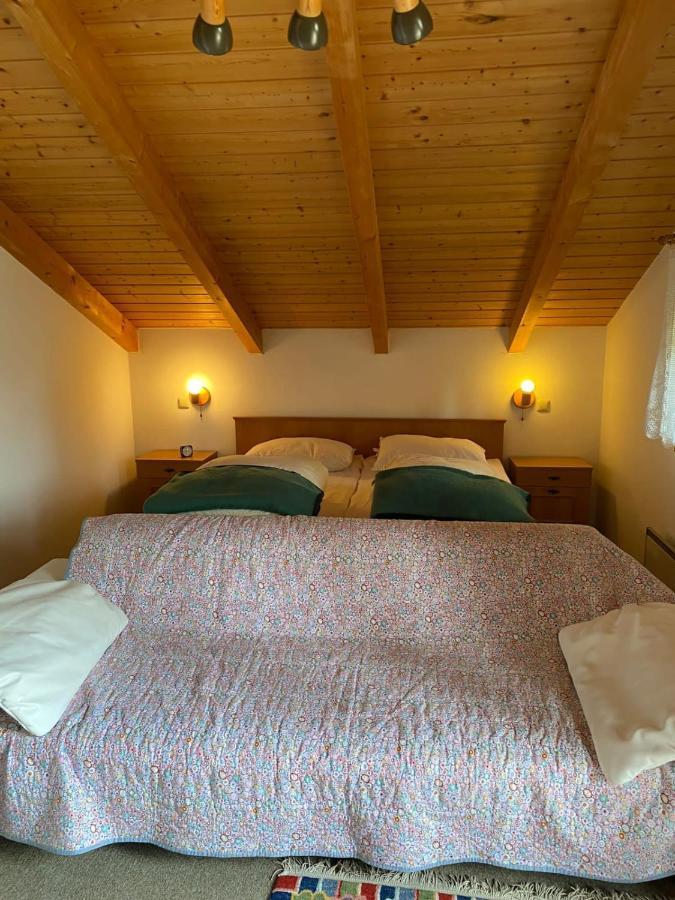 Ferienhaus Im Waldferiendorf Regen Exteriör bild